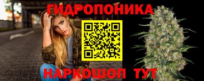 гашик Ликино-Дулёво