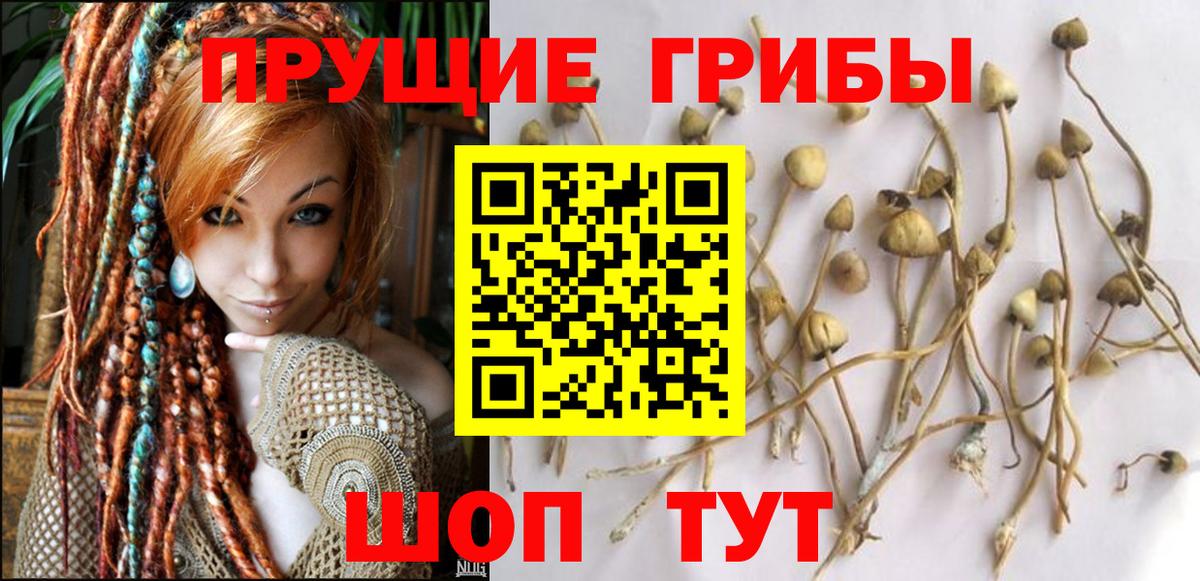 Галлюциногенные грибы ЛСД Иваново