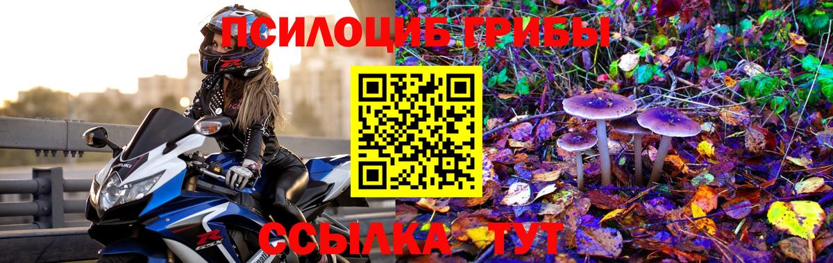 Галлюциногенные грибы мицелий  Вход с VPN  Иваново 